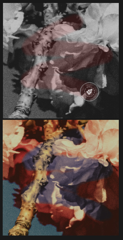 Mask brush opacity at 50%