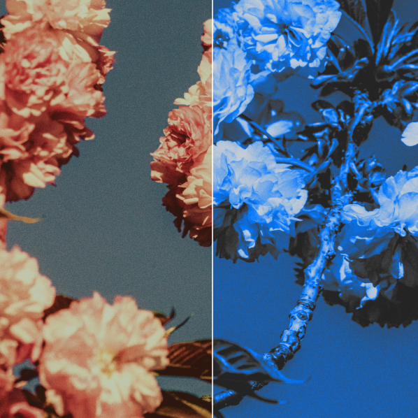 Saturation Influence at 0%