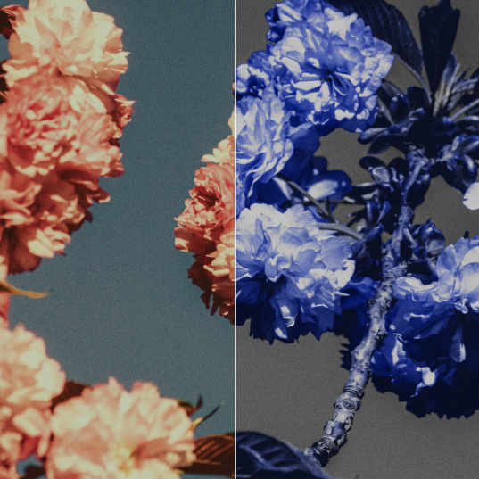 Gradient bar with blue node near the white node
