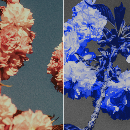 Gradient bar with blue node near the black node