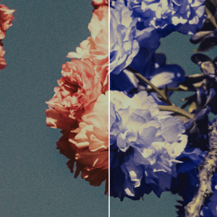 Preserve Hue checked - original colors restored